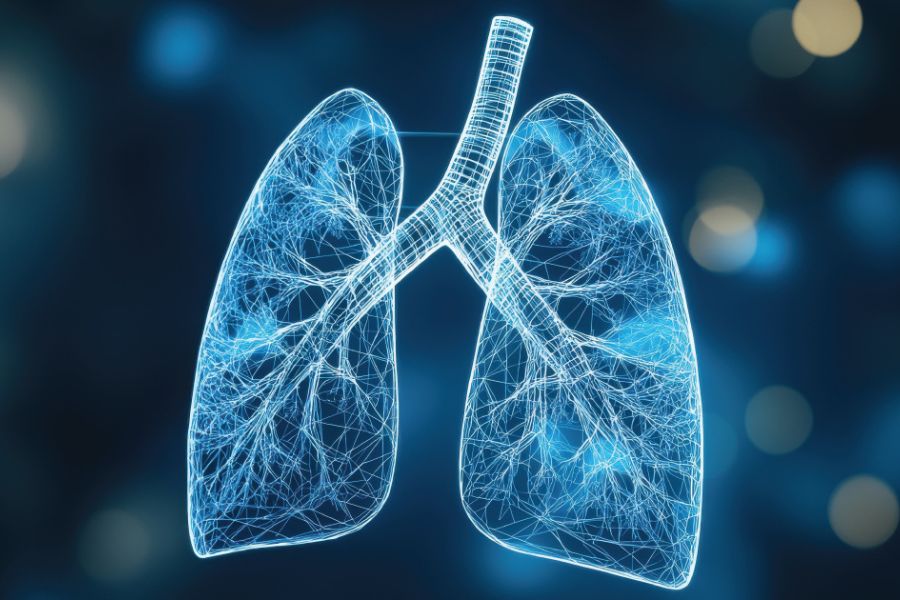 Digital illustration of human lungs with a wireframe and glowing effect, showing bronchial tubes and intricate branching on a dark blue background.